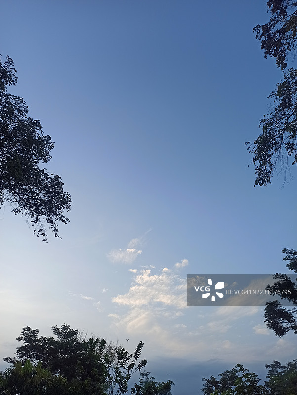 黄昏时分宁静的天空与树木剪影图片素材