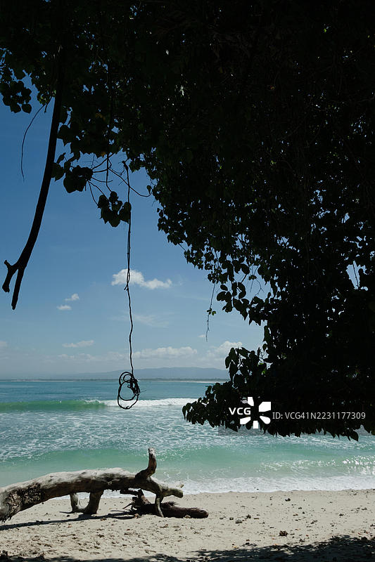 宁静的海滩场景，漂流木与海浪图片素材