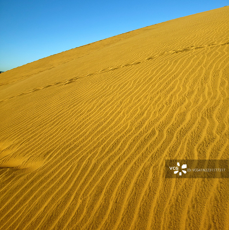 沙漠沙丘在晴朗的蓝天下图片素材