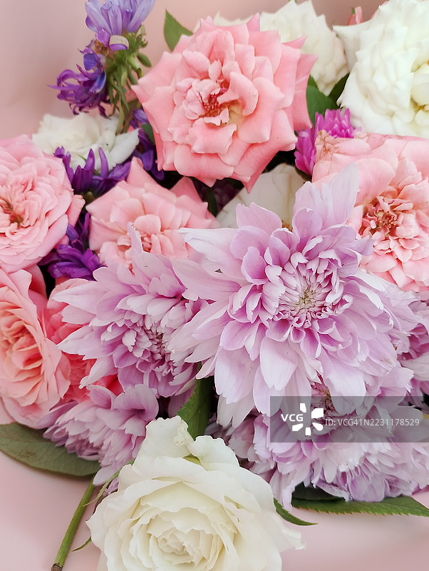 色彩斑斓的玫瑰和菊花花束特写图片素材