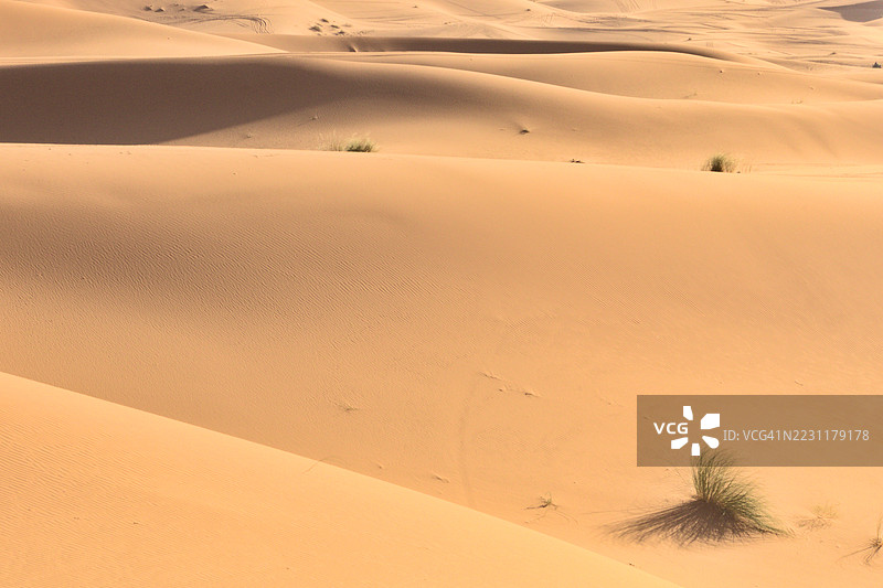 沙漠中的壮丽沙丘图片素材