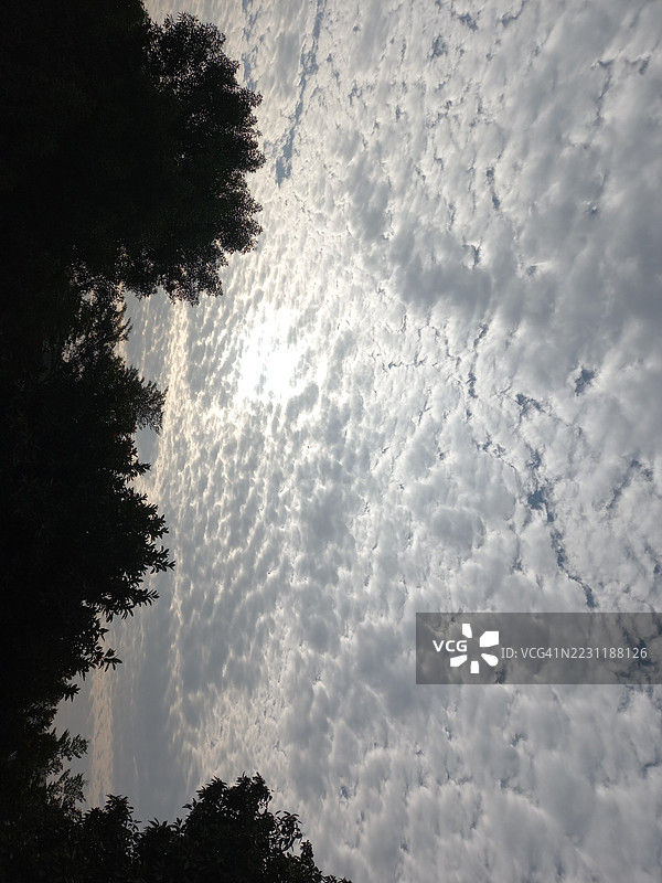 阳光穿过多云的天空和树林图片素材