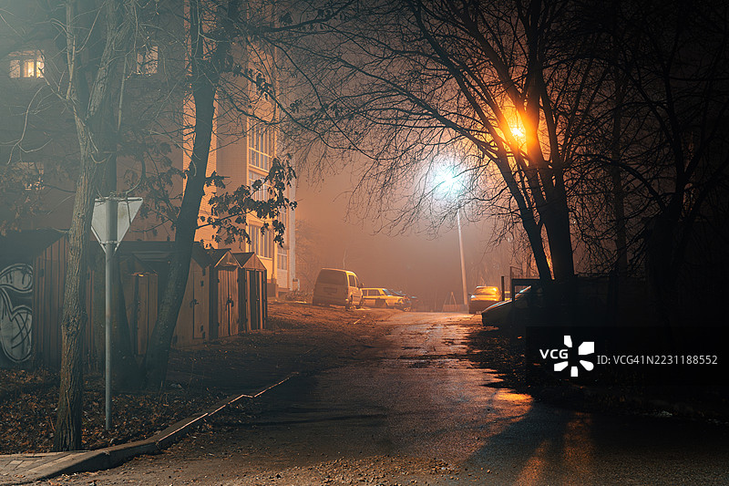 雾蒙蒙的夜晚街道，树木和汽车相伴图片素材