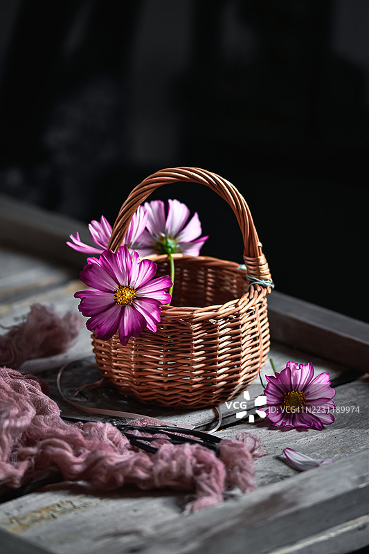 木桌上的藤编篮子里盛满粉色的宇宙花图片素材