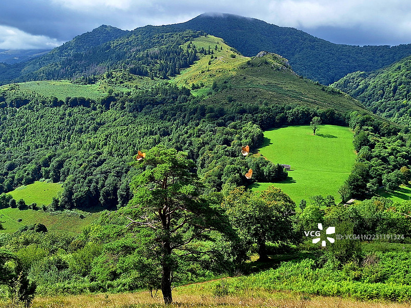 法国阴云密布的郁郁葱葱的山丘和森林图片素材