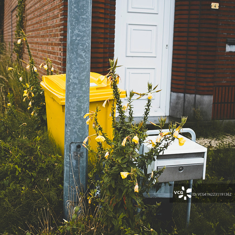 比利时砖房前的黄色垃圾桶和鲜花图片素材