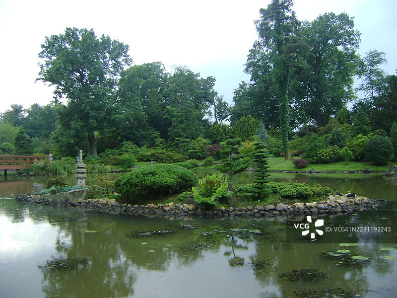 宁静的日本花园，池塘与郁郁葱葱的绿植，波兰图片素材