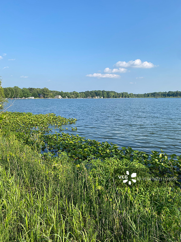 宁静的湖景，绿树成荫，蓝天清澈，沃尔科特维尔，美国图片素材