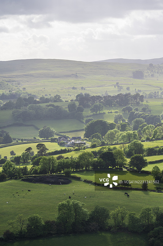 明亮的绿色农田乡村布雷肯比肯斯图片素材
