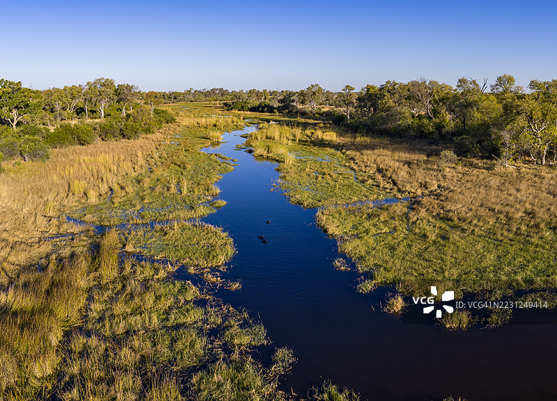 奥卡万戈三角洲美丽水道和泻湖的鸟瞰图图片素材