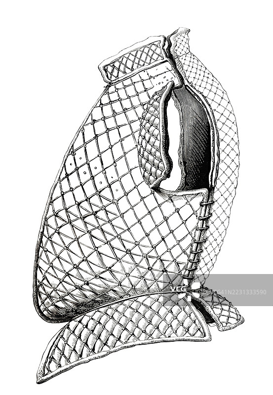 布里甘丁，一种自14世纪以来使用的鳞甲，1560年，来自1868年的书籍《英国军队》，历史性的，数字修复自19世纪的原版，记录日期未说明图片素材