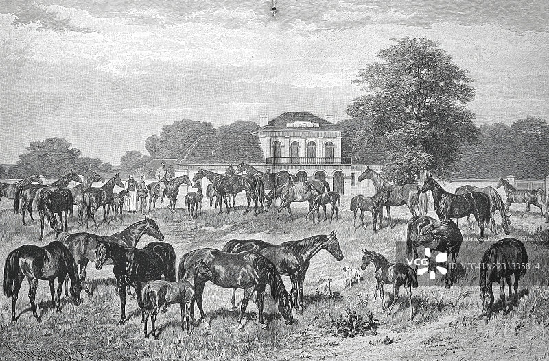 匈牙利巴拉顿湖附近凯斯特黑伊的塔西洛·费斯特蒂克斯伯爵的英纯血马种马场,1880年,历史照片,经过数字修复的19世纪原版,记录日期未说明图片素材