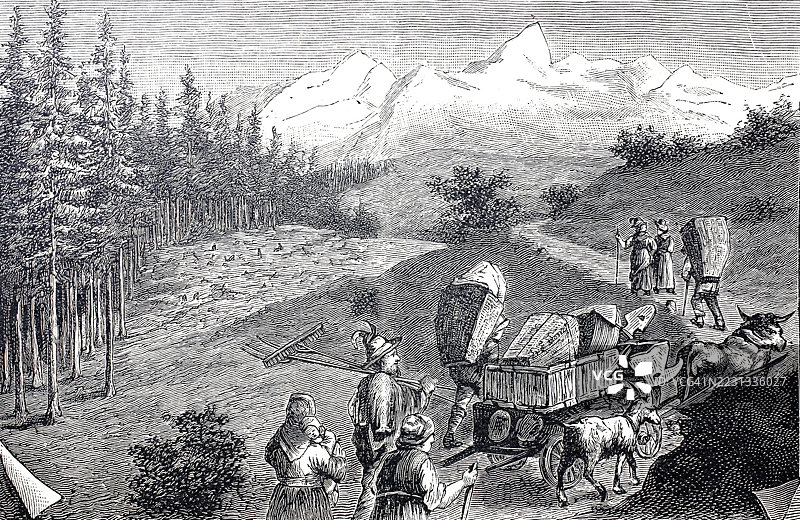 阿尔卑斯山农民带着牛队和工具前往山间牧场，阿尔卑斯山，蒂罗尔，约1880年，奥地利，历史照片，经过数字修复的19世纪原作，记录日期未说明图片素材