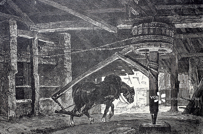 矿马在矿业作业中转动磨机，数字增强的19世纪模型再现，历史悠久，确切日期不详图片素材