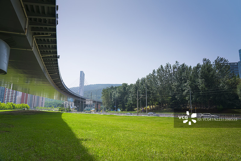 高架桥下的草坪图片素材