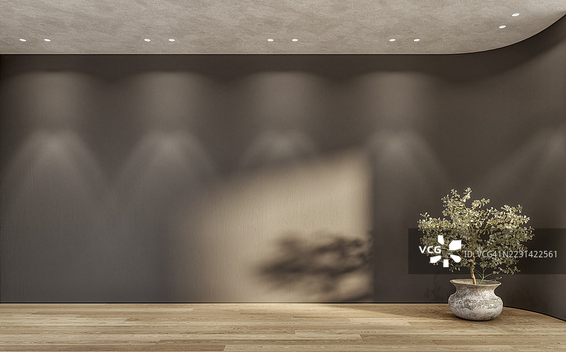 空荡荡的、未布置的极简室内，棕色空白的弯曲墙壁背景和留白，硬木地板上放着一盆植物图片素材