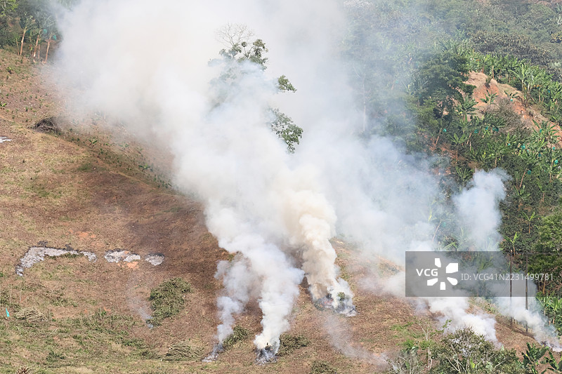 森林火灾图片素材