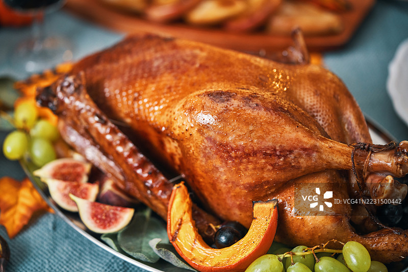 感恩节的填充火鸡，配有南瓜、水果、派和其他配料图片素材