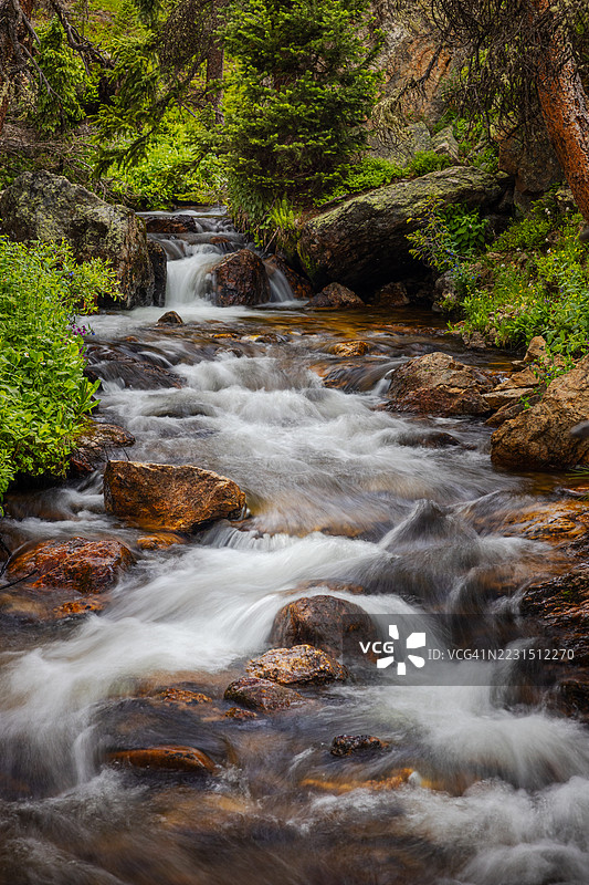 宁静的森林溪流在岩石上倾泻而下图片素材