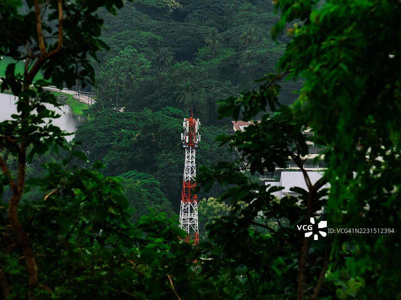 被郁郁葱葱的绿树环绕的通信塔图片素材
