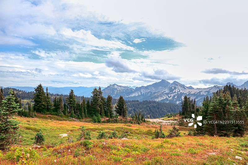 雄伟的山脉风景，常绿森林与多云的天空图片素材