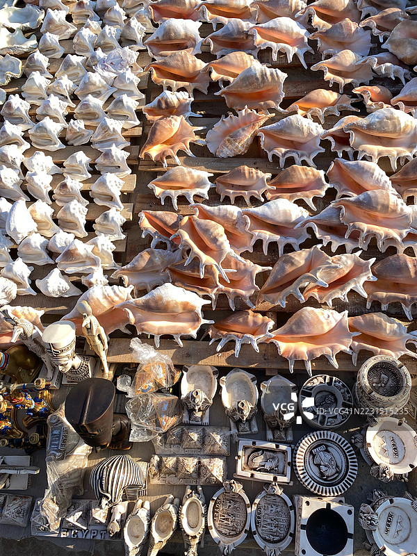 展示的贝壳和埃及纪念品收藏图片素材