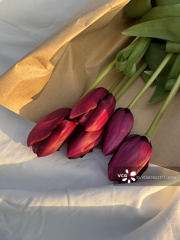红色郁金香用棕色纸包裹在白色布料上图片素材