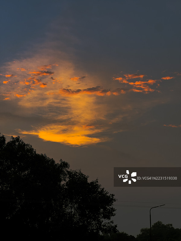 树木的剪影映衬着绚丽的日落天空图片素材