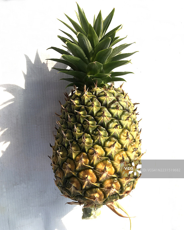 新鲜菠萝在白色背景上图片素材