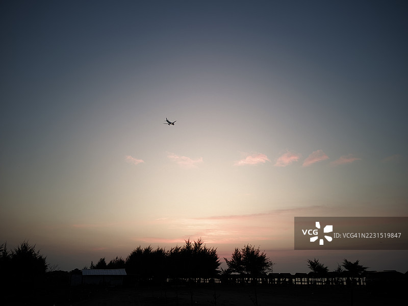 飞机在日落时分飞过树木剪影图片素材
