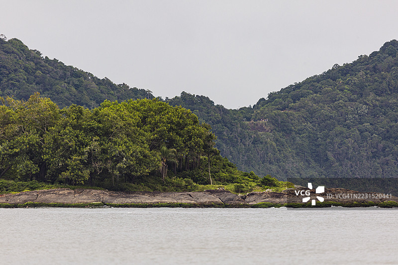 郁郁葱葱的森林环绕着宁静的河流，巴西图片素材