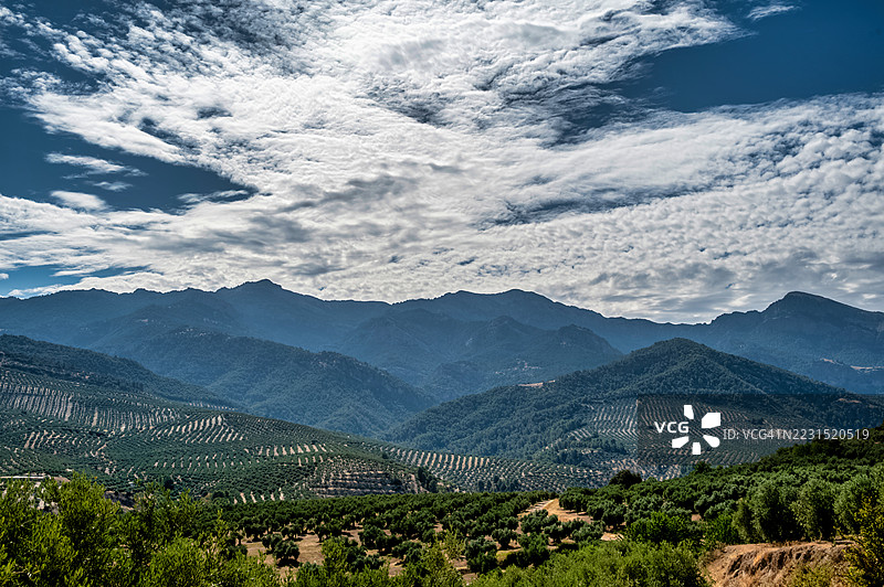 西班牙克萨达，广阔的山地景观，点缀着橄榄林，天空戏剧般地变化着图片素材