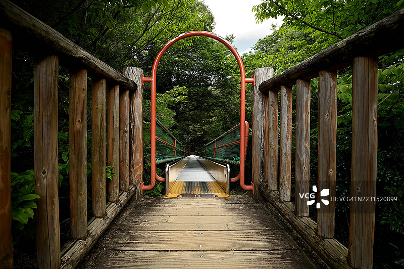 被郁郁葱葱的森林环绕的木栈道图片素材
