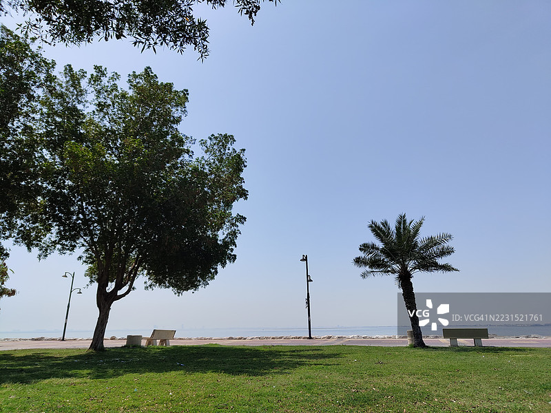 海边宁静的公园，树木和长椅，沙特阿拉伯图片素材