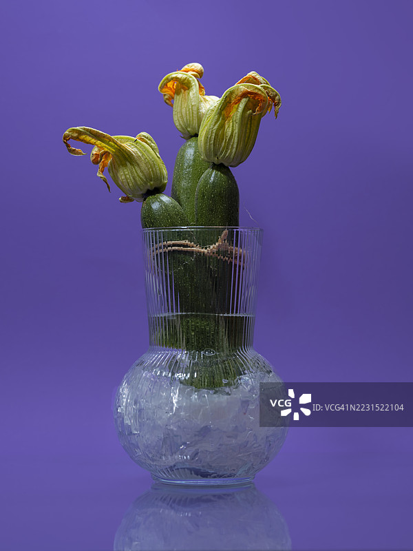 紫色背景下的玻璃花瓶中的西葫芦花图片素材