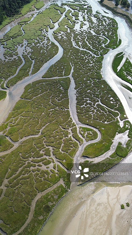 郁郁葱葱的绿地中蜿蜒河流的鸟瞰图图片素材