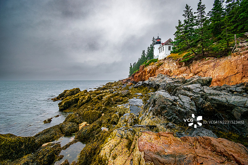 巴斯港的岩石海岸风景，灯塔和松树在多云的天空下。图片素材