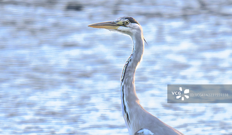 一个酷炫的家伙图片素材