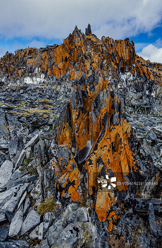优雅的日晕地衣（Rusavskia elegans，前称Xanthoria elegans）是一种属于Rusavskia属、Teloschistaceae科的地衣化真菌。该物种以鲜艳的橙色或红色颜料为特征，生长在岩石上。图片素材