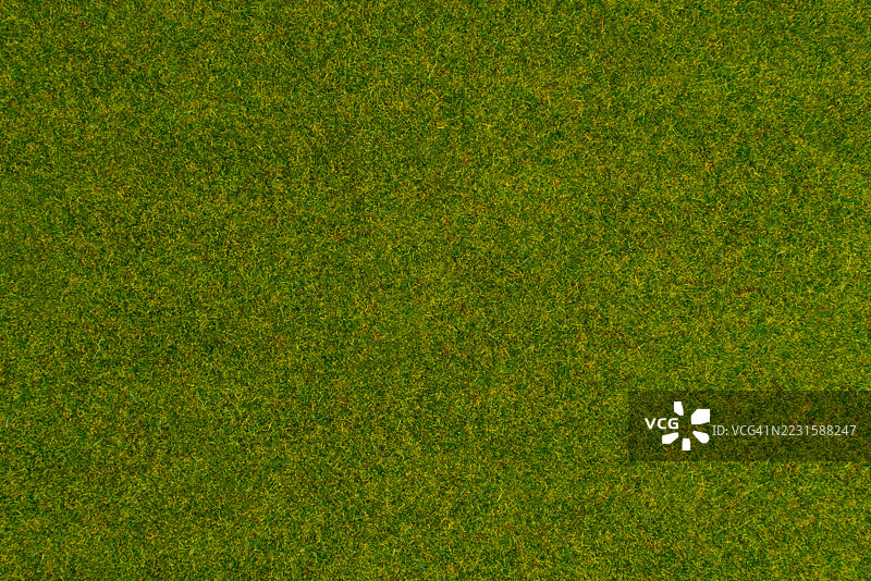 绿色人造草坪纹理背景图片素材