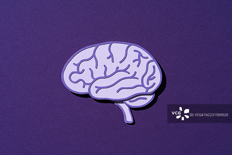 紫色人脑与紫色背景，纸艺制作图片素材