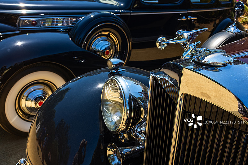 速度女神图片素材