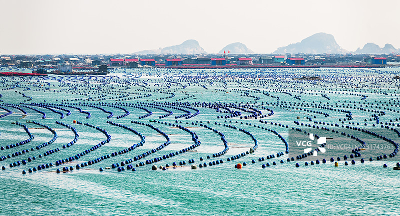 海中大面积的水产养殖设施，呈现出弯曲的图案图片素材