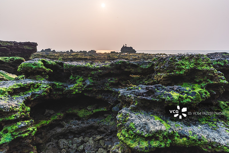 海岸岩石上的日落，覆盖着绿色苔藓图片素材