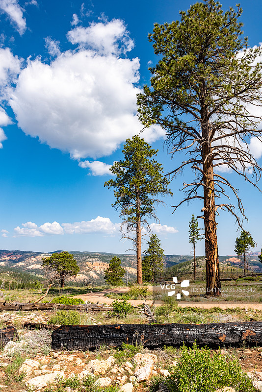 美国犹他州布莱斯峡谷国家公园的景色图片素材