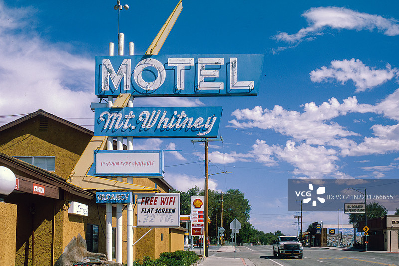 加州孤松图片素材