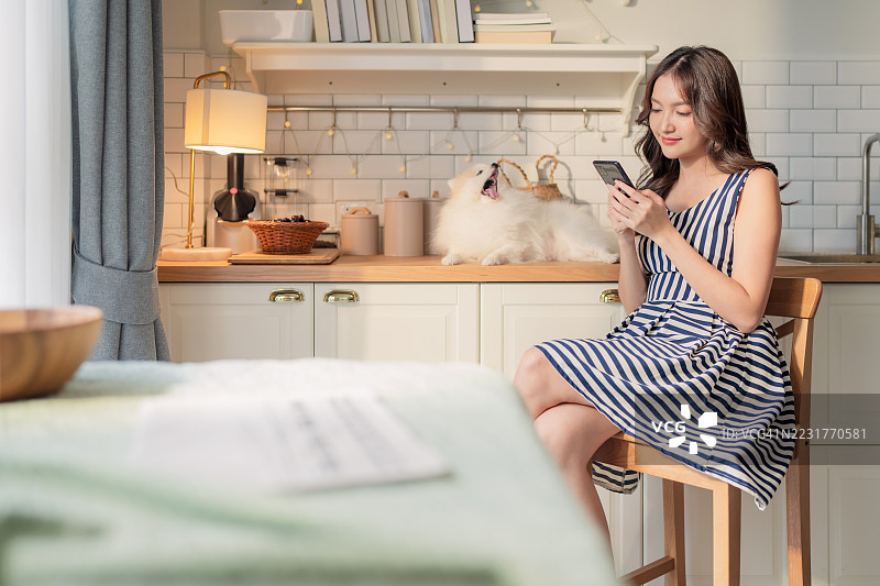 年轻女性在家厨房里一边使用手机一边和她可爱的狗狗玩耍图片素材
