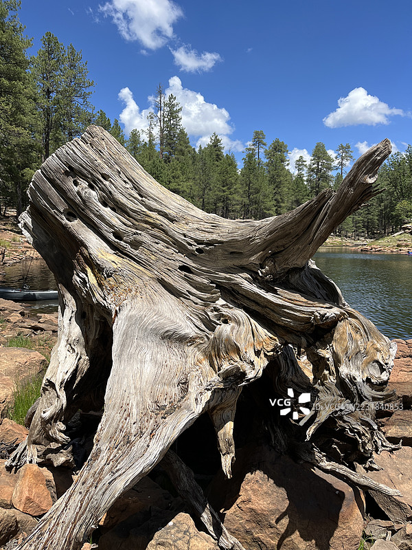 我曾经是图片素材