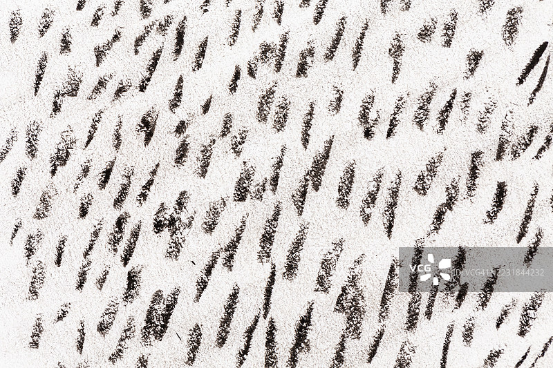 现代艺术油画和丙烯涂抹斑点画布墙面。抽象纹理黑色、青铜色、米色和棕色污渍笔触纹理背景。图片素材