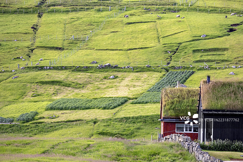 法罗群岛Gjógv的梯田和草屋顶房屋图片素材